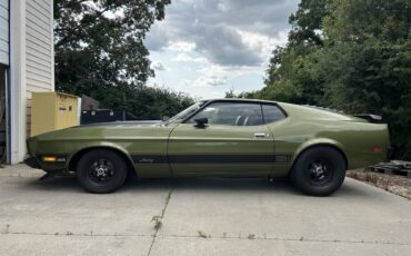Ford-Mustang-mach-1-1973-Ivy-glow-metalic-Black