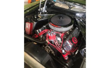 Ford-Mustang-mach-1-1973-Ivy-glow-metalic-Black-46