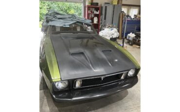 Ford-Mustang-mach-1-1973-Ivy-glow-metalic-Black-63
