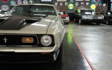 Ford-Other-1972-Silver-Black-33