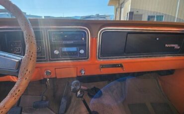 Ford-Other-1977-Orange-Tan-11
