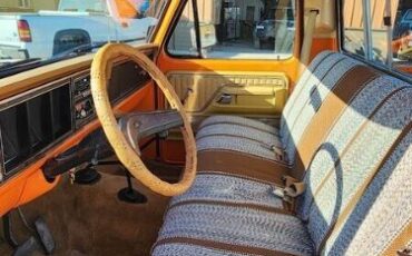 Ford-Other-1977-Orange-Tan-12