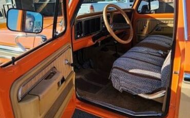 Ford-Other-1977-Orange-Tan-13