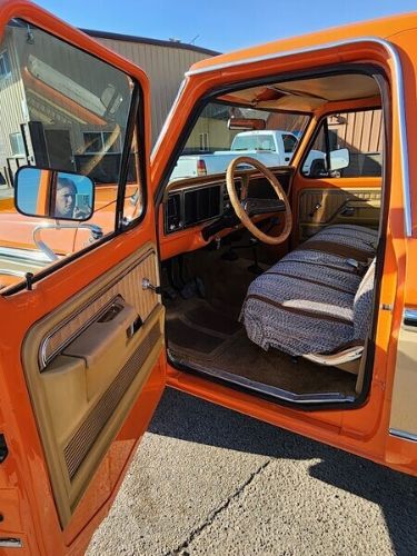 Ford-Other-1977-Orange-Tan-13