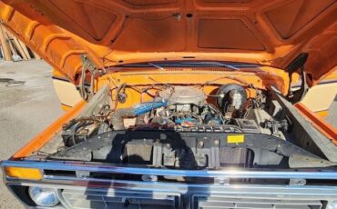 Ford-Other-1977-Orange-Tan-3