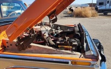 Ford-Other-1977-Orange-Tan-5