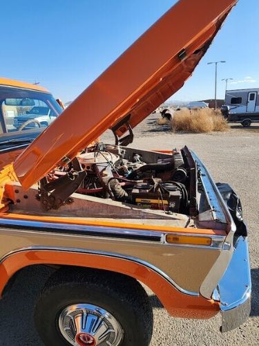 Ford-Other-1977-Orange-Tan-5