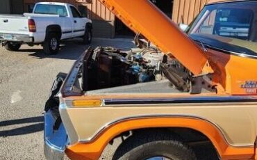 Ford-Other-1977-Orange-Tan-6