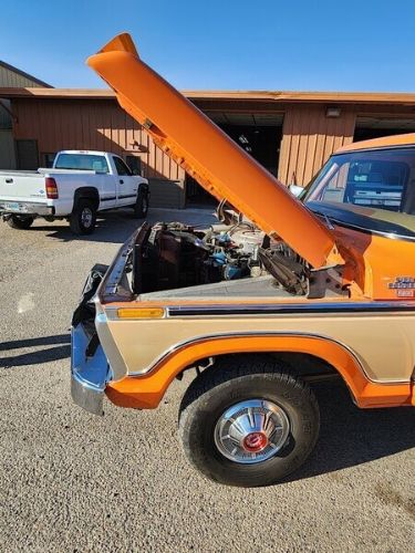 Ford-Other-1977-Orange-Tan-6