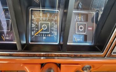 Ford-Other-1977-Orange-Tan-9