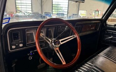 Ford-Other-Pickups-1976-Pickup-Truck-22