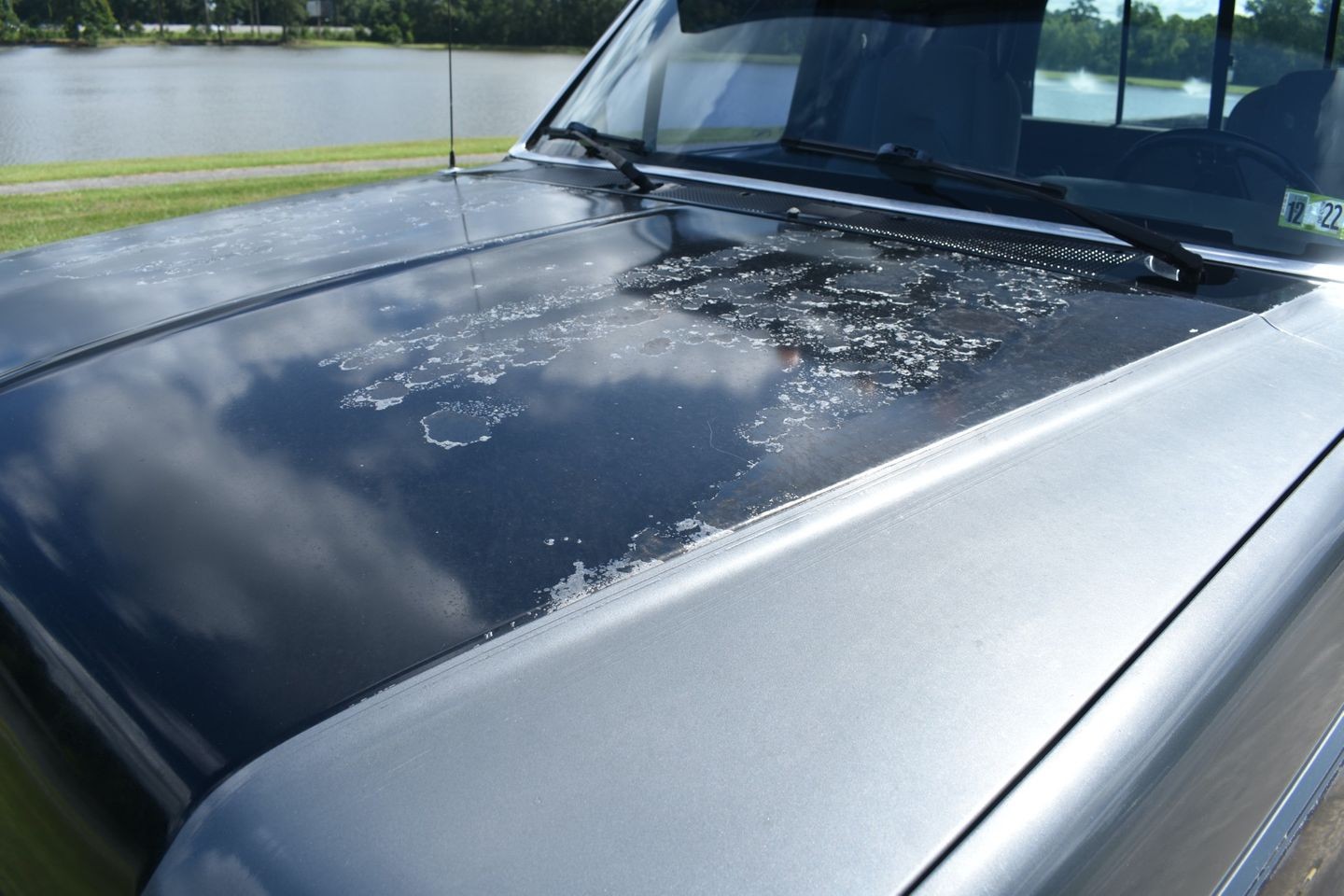 Ford-Other-Pickups-1988-Pickup-Truck-12