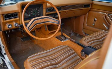 Ford-Pinto-Squire-2-Door-1980-2-Door-Station-Wagon-33