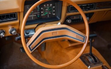 Ford-Pinto-Squire-2-Door-1980-2-Door-Station-Wagon-35