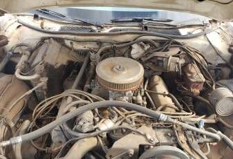 Ford-Ranchero-1975-6