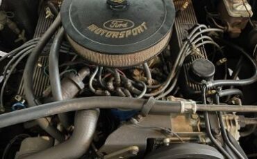 Ford-Ranchero-1976-Black-10