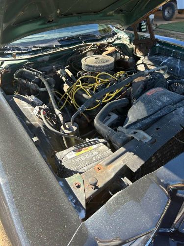 Ford-Ranchero-1978-Green-1