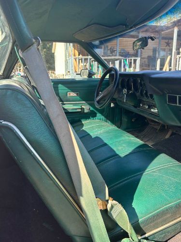 Ford-Ranchero-1978-Green-3