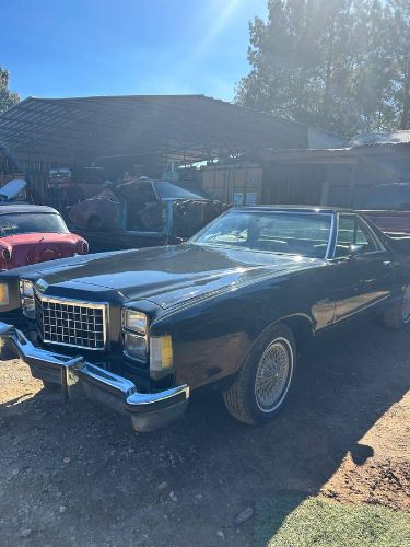 Ford-Ranchero-1978-Green-8