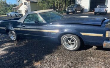 Ford-Ranchero-1979-8