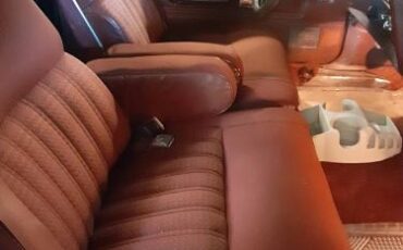 Ford-Ranchero-1979-Brown-2