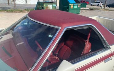Ford-Ranchero-1979-White-9