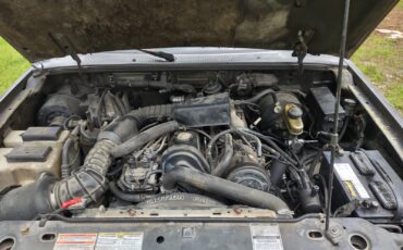 Ford-Ranger-1995-Standard-Cab-Pickup-5
