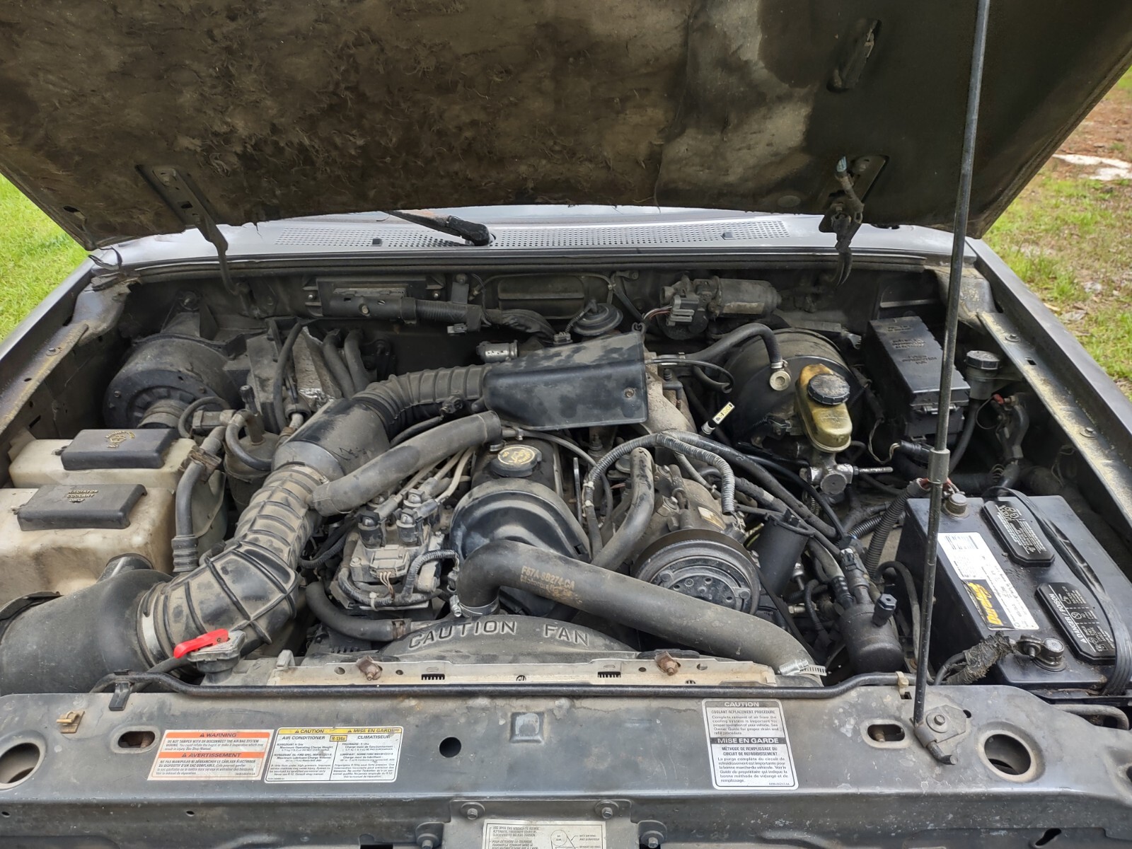 Ford-Ranger-1995-Standard-Cab-Pickup-5