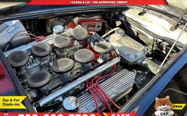 Ford-Shelby-Cobra-Replica-1965-Convertible-3