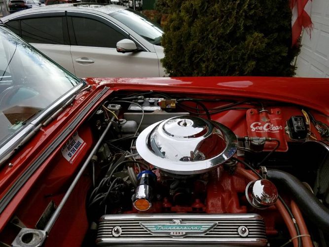 Ford-Thunderbird-1955-1