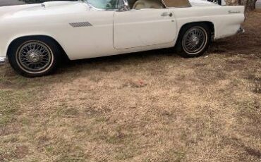 Ford-Thunderbird-1955