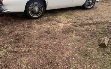 Ford-Thunderbird-1955-8