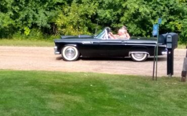 Ford-Thunderbird-1955-Black-1