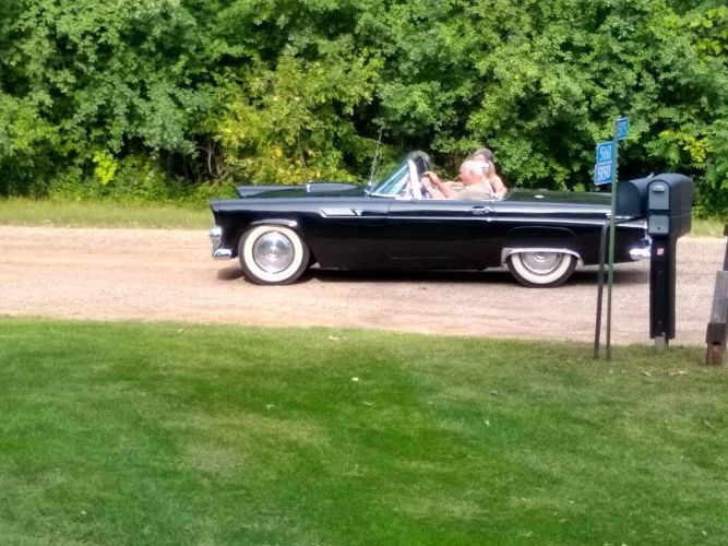 Ford-Thunderbird-1955-Black-1