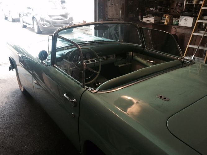 Ford-Thunderbird-1955-Blue-BlueWhite-11