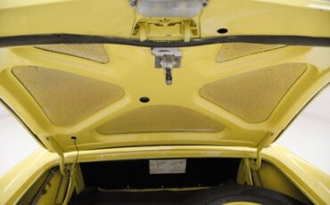 Ford-Thunderbird-1955-Goldenrod-Yellow-Black-34