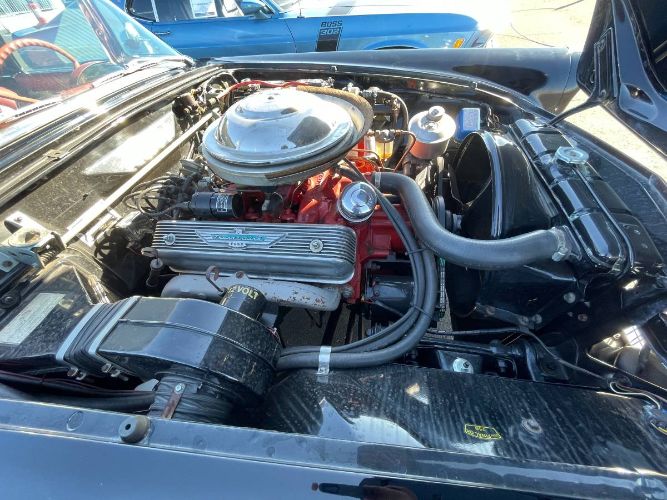 Ford-Thunderbird-1956-Raven-Black-RedWhite-1