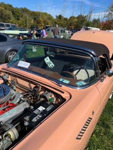 Ford-Thunderbird-1956-Tan-Tan-2