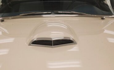 Ford-Thunderbird-1957-Colonial-White-Dresden-Blue-24