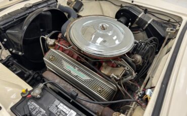 Ford-Thunderbird-1957-Colonial-White-Red-18