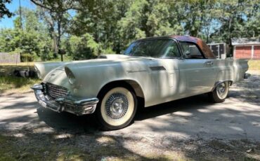 Ford-Thunderbird-1957-White-Pink-13