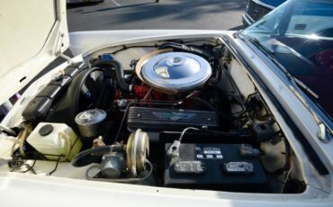 Ford-Thunderbird-1957-Wimbledon-White-4