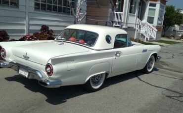 Ford-Thunderbird-1957-Wimbledon-White-6
