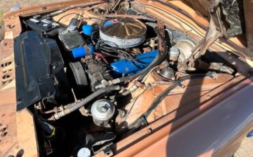 Ford-Thunderbird-1964-Brown-Black-11
