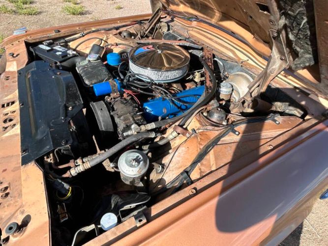 Ford-Thunderbird-1964-Brown-Black-11