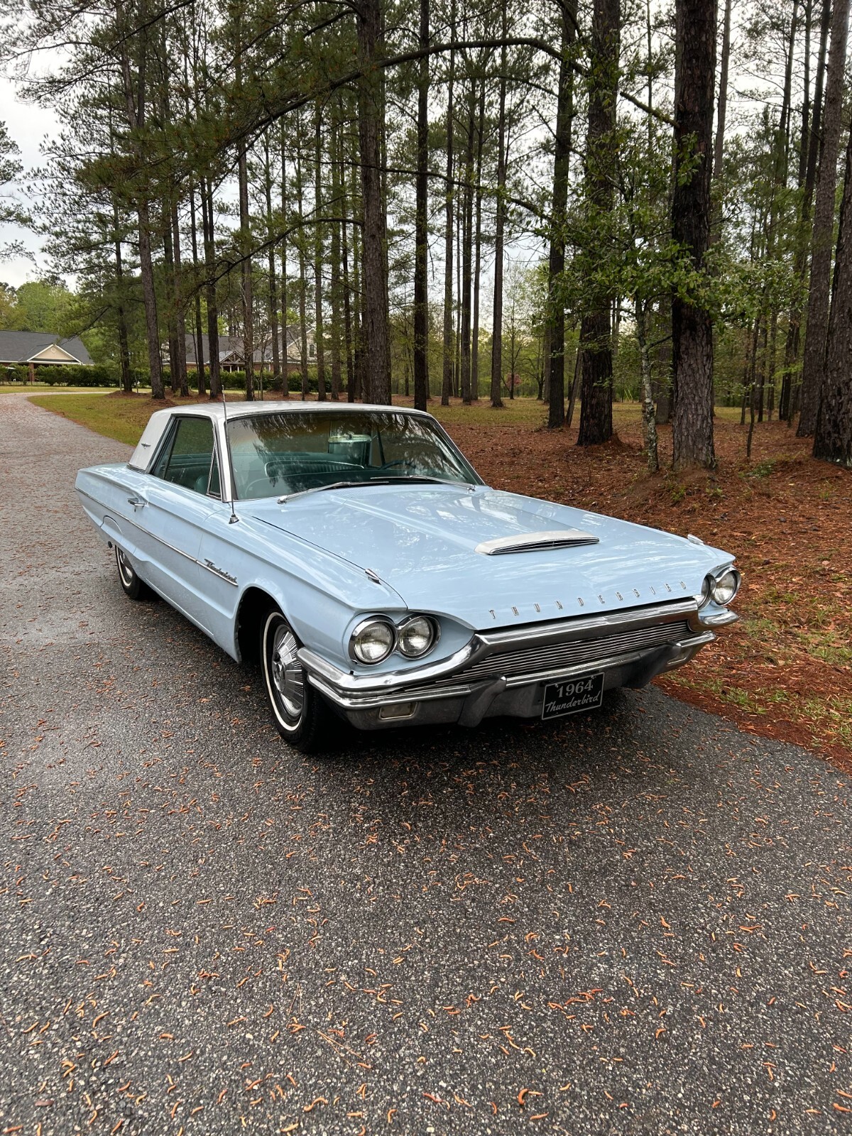 Ford-Thunderbird-1964-Coupe-1