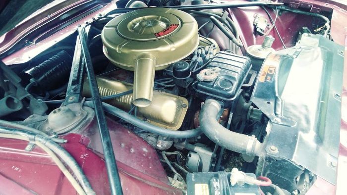 Ford-Thunderbird-1964-Custom-Burgundy-Black-6