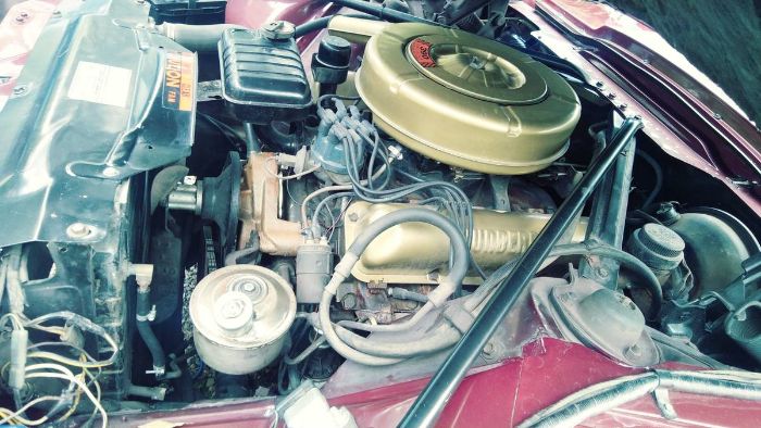 Ford-Thunderbird-1964-Custom-Burgundy-Black-Leather-20
