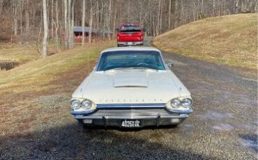 Ford-Thunderbird-1964-White-Blue-1