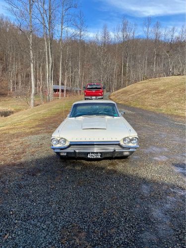 Ford-Thunderbird-1964-White-Blue-1